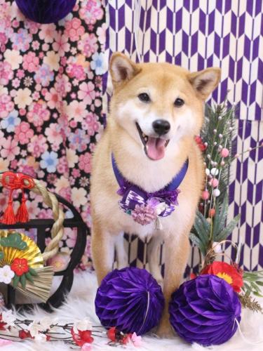 20250122シュウくん